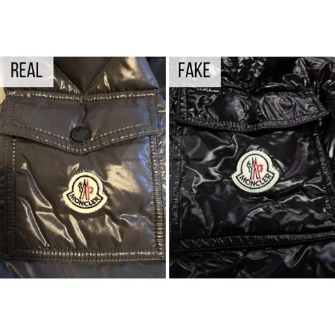 moncler vs prada